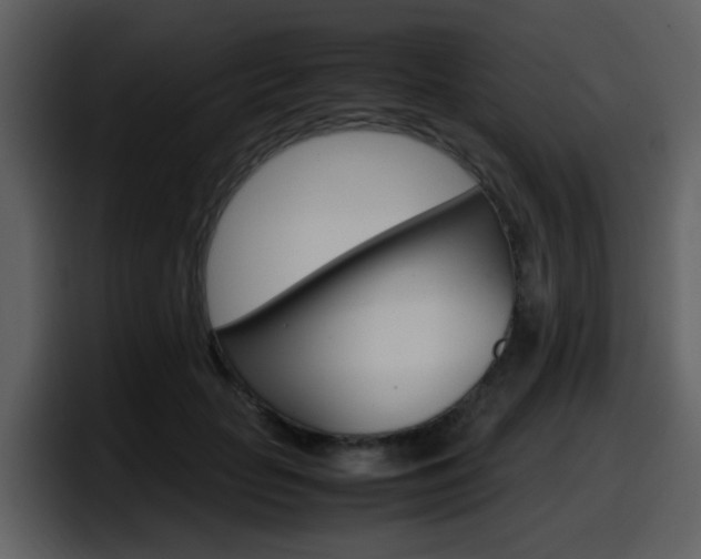 X0000098100653200804040747