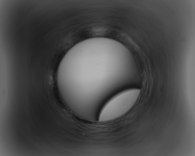 X0000098100655200804040747