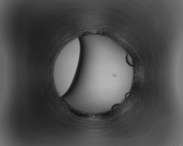 X0000098100656200804040747