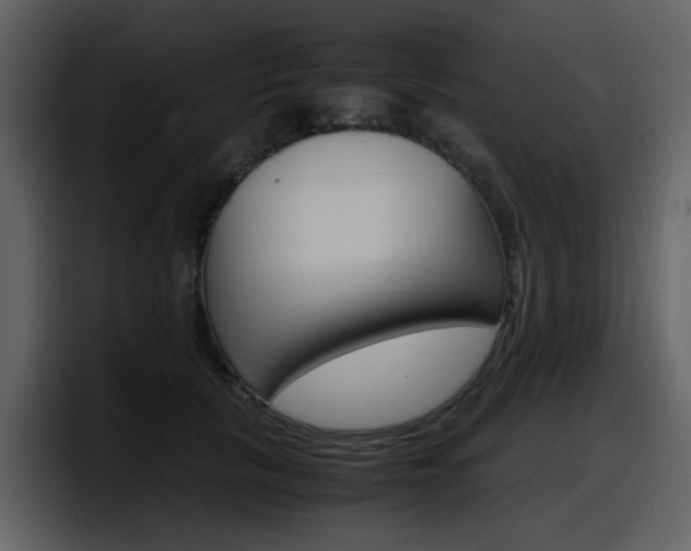 X0000098100657200804040747