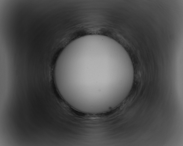 X0000098100658200804040747
