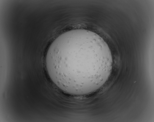X0000098100659200804040747