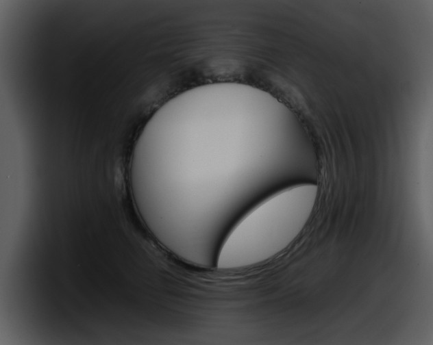 X0000098100662200804040747