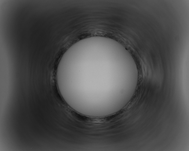 X0000098100663200804040747