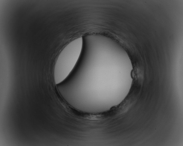 X0000098100664200804040747