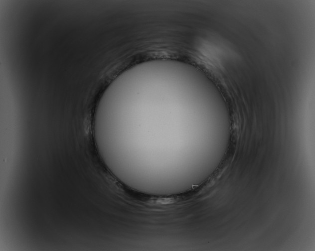 X0000098100665200804040747
