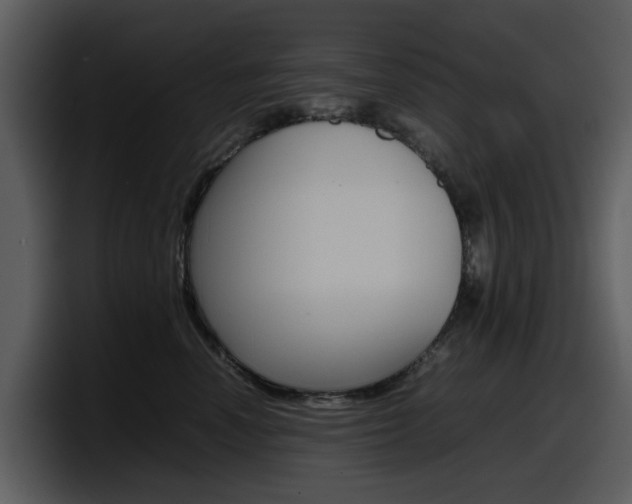 X0000098100666200804040747