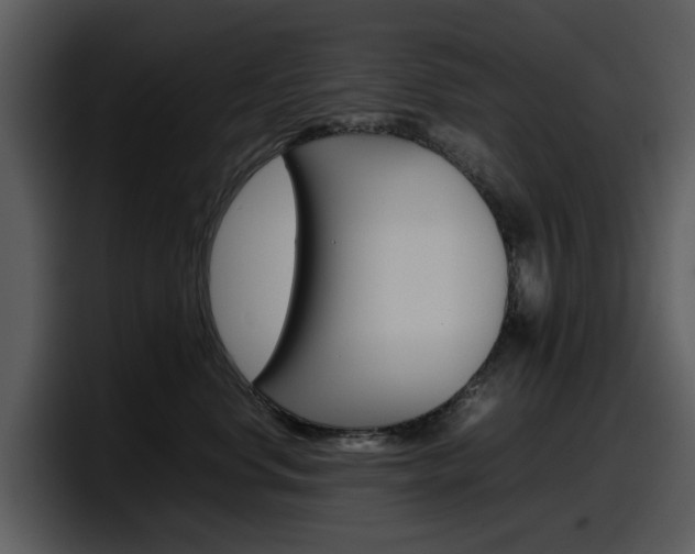 X0000098100668200804040747
