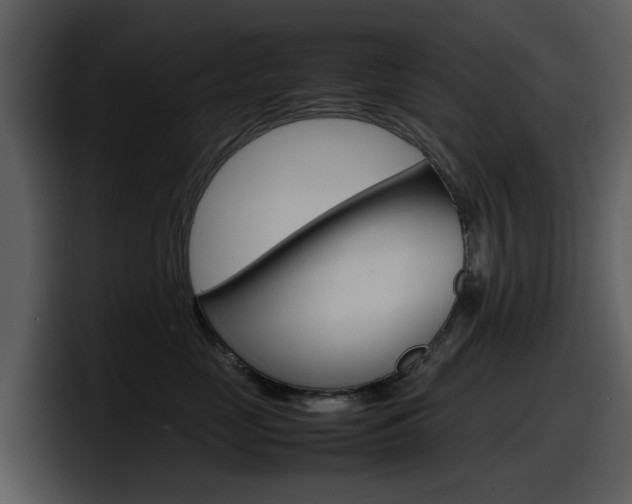 X0000098100669200804040747