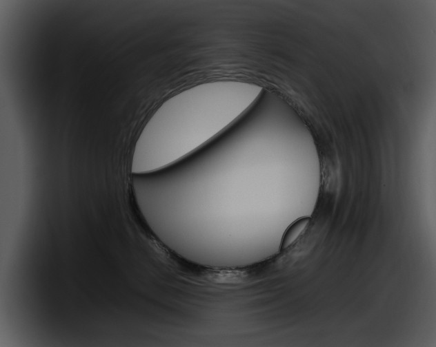 X0000098100670200804040747