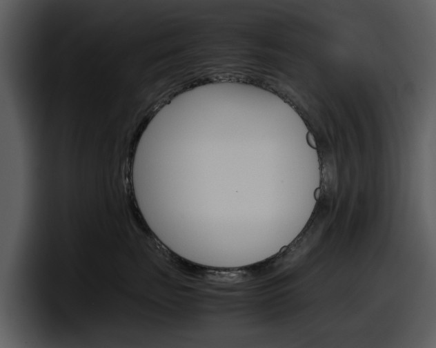 X0000098100671200804040747