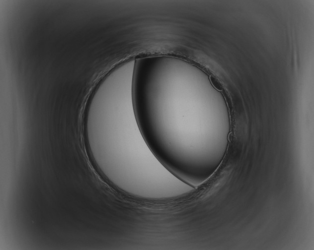 X0000098100673200804040747