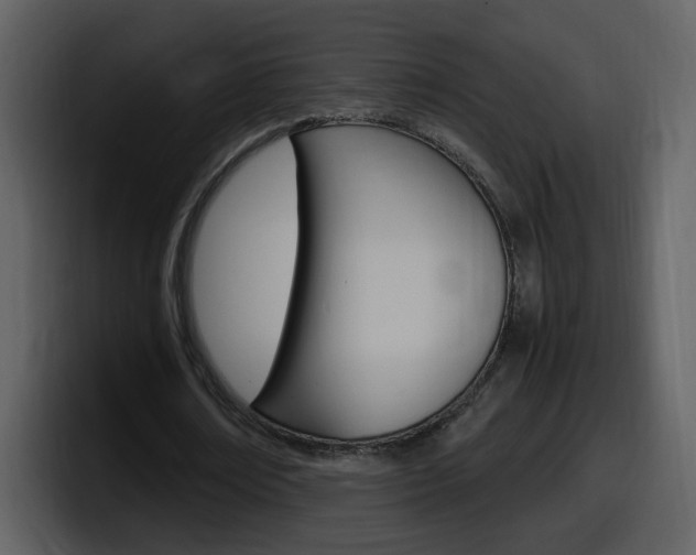 X0000098100674200804040747