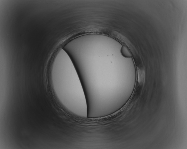 X0000098100675200804040747