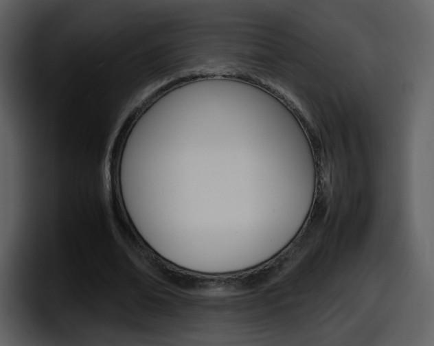 X0000098100678200804040747