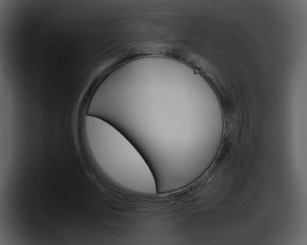 X0000098100679200804040747