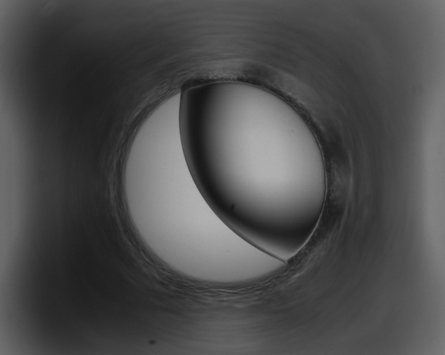 X0000098100681200804040747