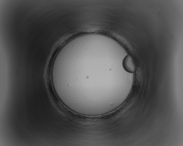 X0000098100682200804040747
