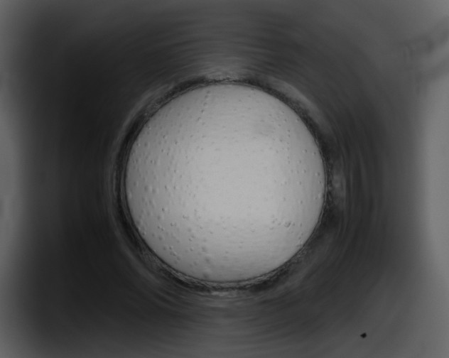 X0000098100686200804040747