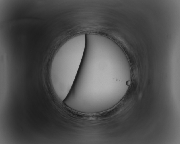 X0000098100687200804040747