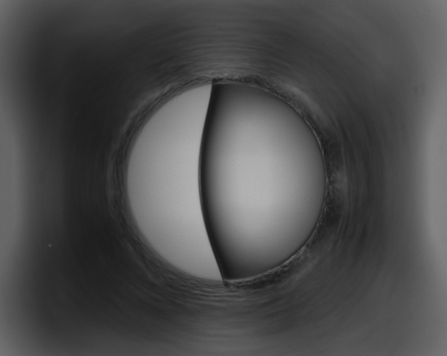 X0000098100688200804040746