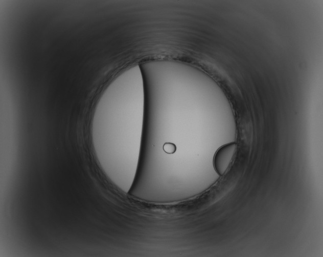 X0000098100690200804040746