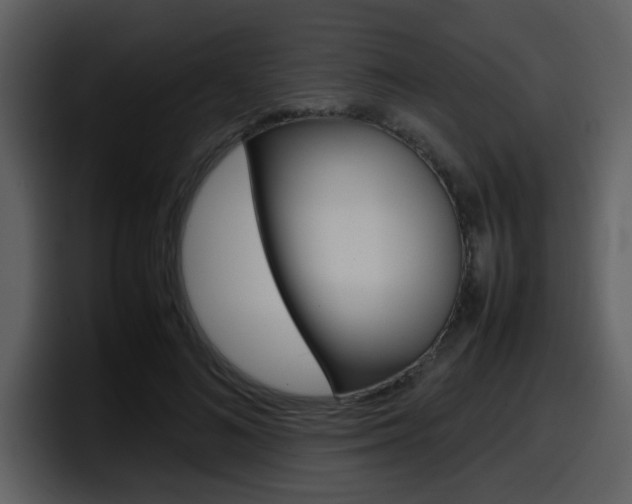 X0000098100692200804040746