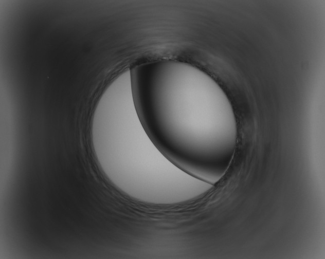 X0000098100693200804040746