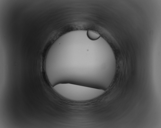 X0000098100694200804040746