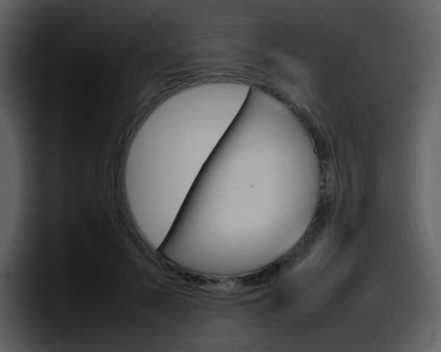 X0000098100695200804040746