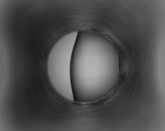 X0000098100696200804040746