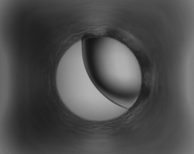 X0000098100697200804040746