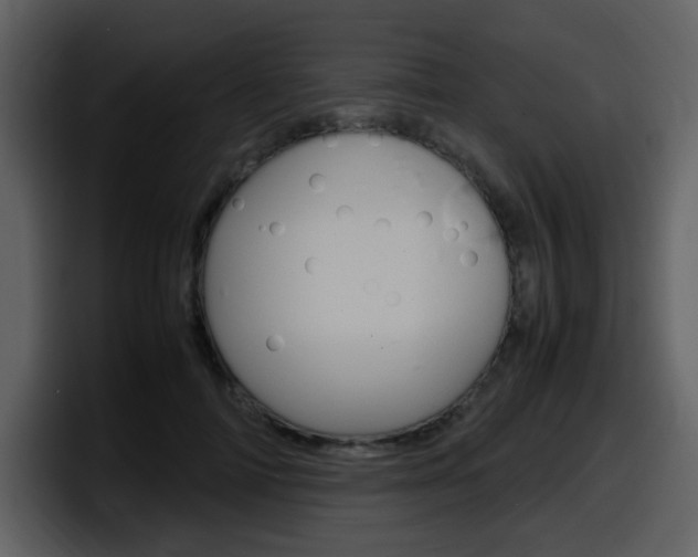 X0000098100698200804040746