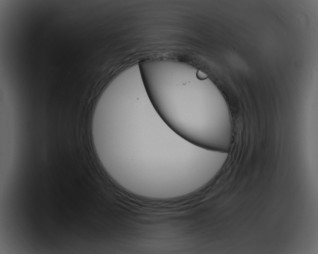 X0000098100699200804040746