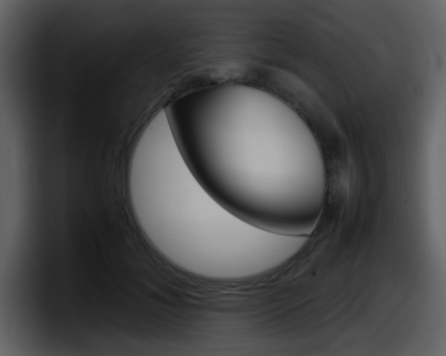 X0000098100700200804040746