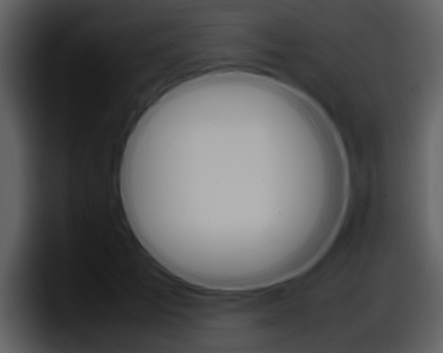 X0000098100701200804040746