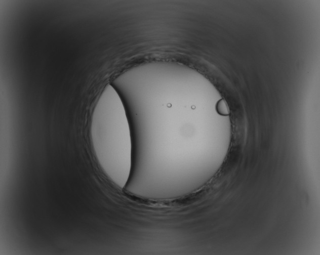 X0000098100703200804040746