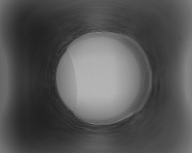 X0000098100705200804040746