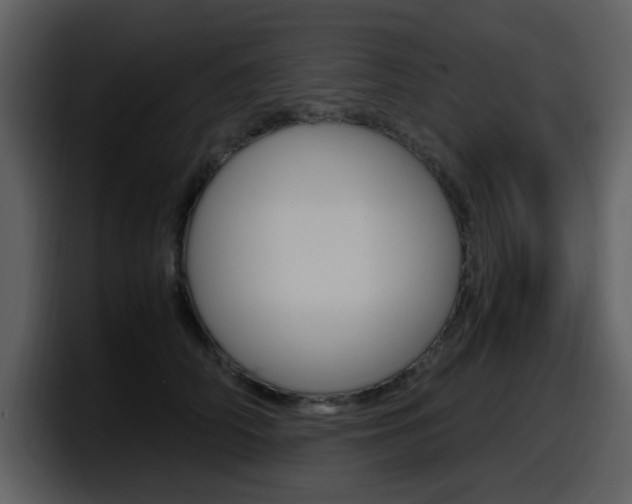 X0000098100706200804040746