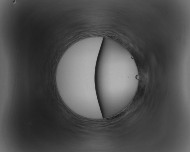 X0000098100707200804040746