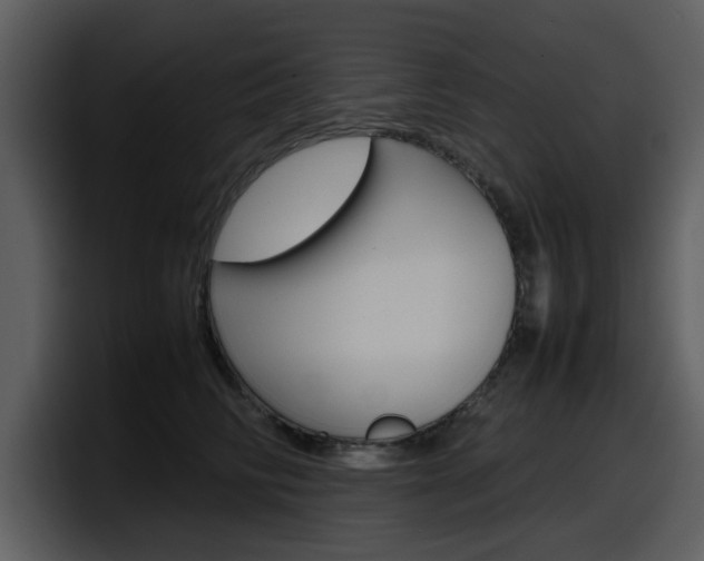 X0000098100710200804040746