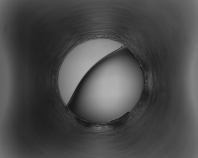 X0000098100712200804040746