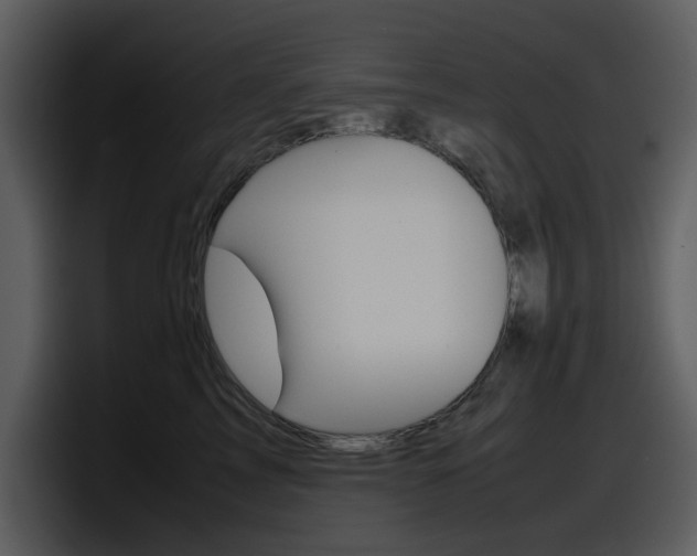 X0000098100713200804040746