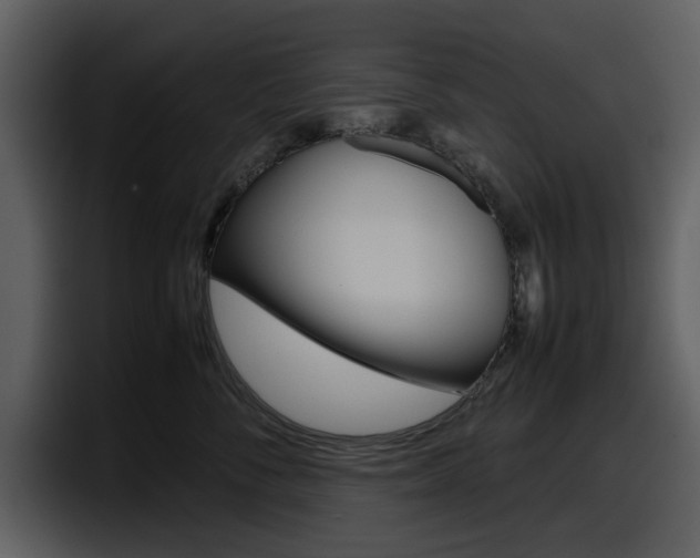 X0000098100716200804040746
