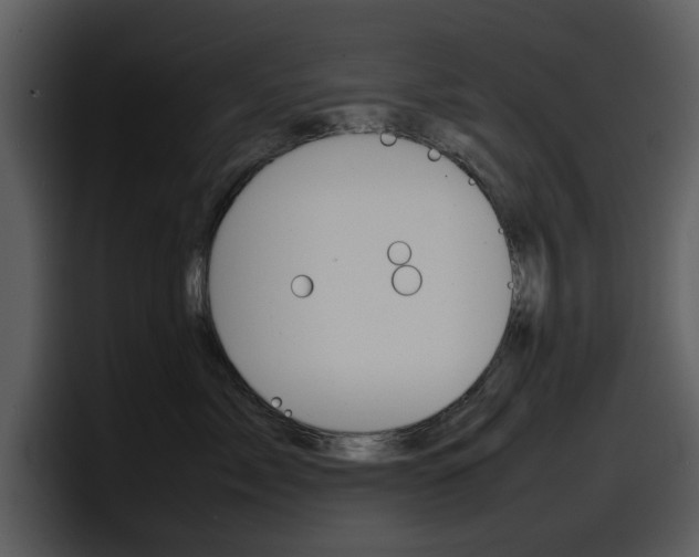 X0000098100717200804040746
