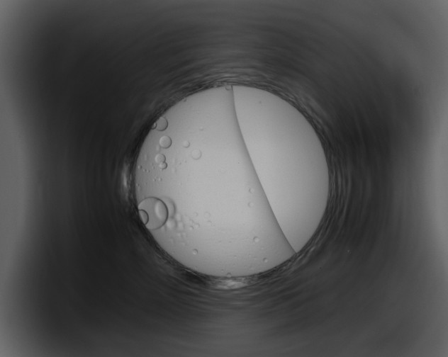 X0000098100718200804040746
