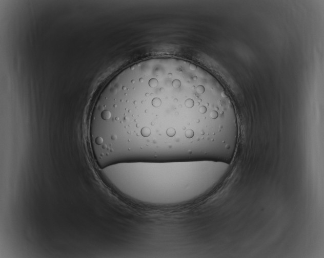 X0000098100721200804040745