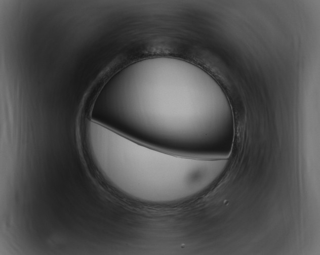 X0000098100722200804040745
