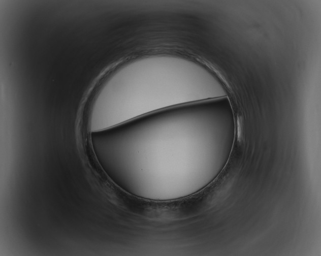 X0000098100723200804040745