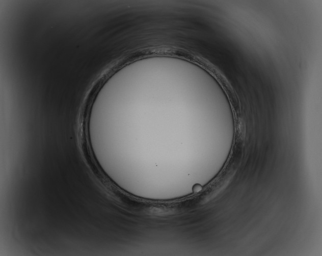 X0000098100725200804040746